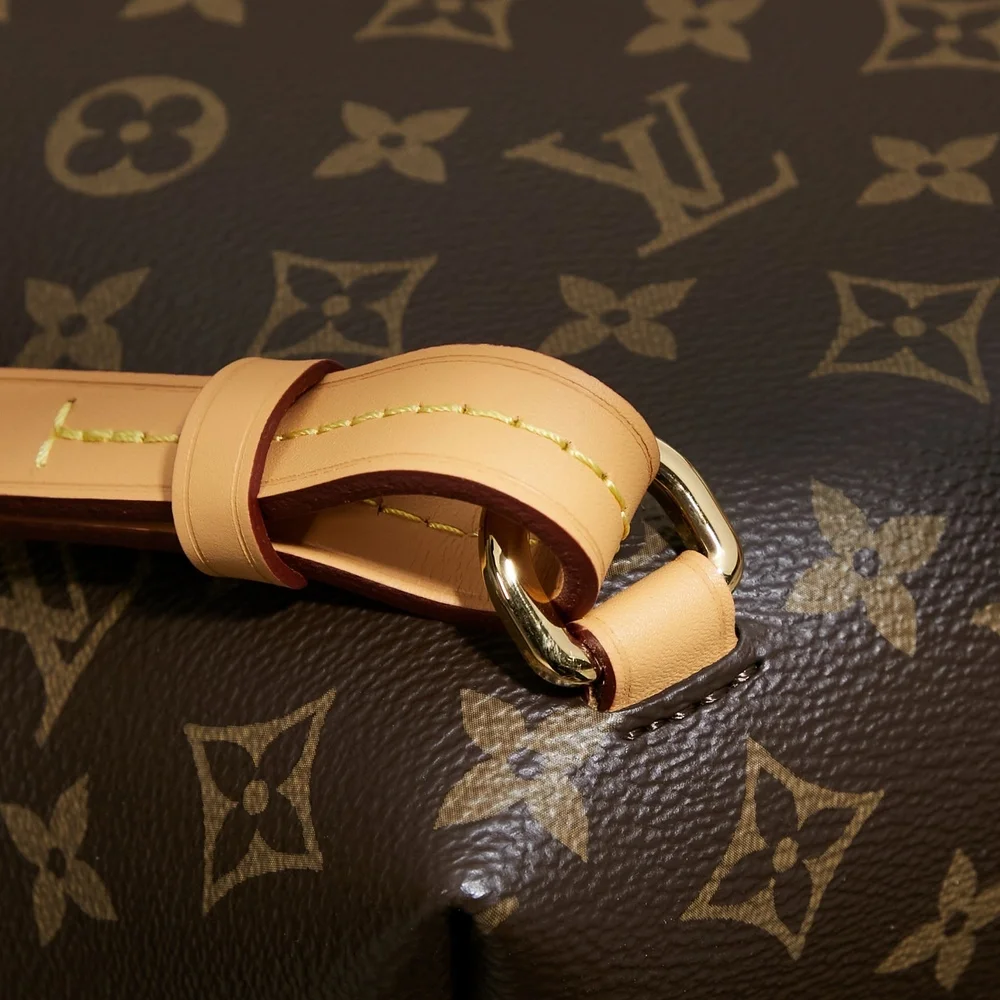 Louis Vuitton Montsouris Backpack